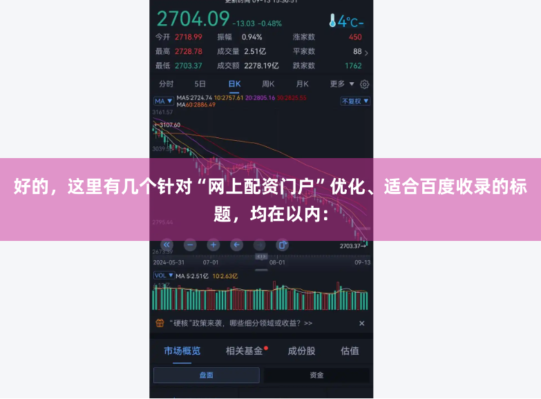 好的，这里有几个针对“网上配资门户”优化、适合百度收录的标题，均在以内：