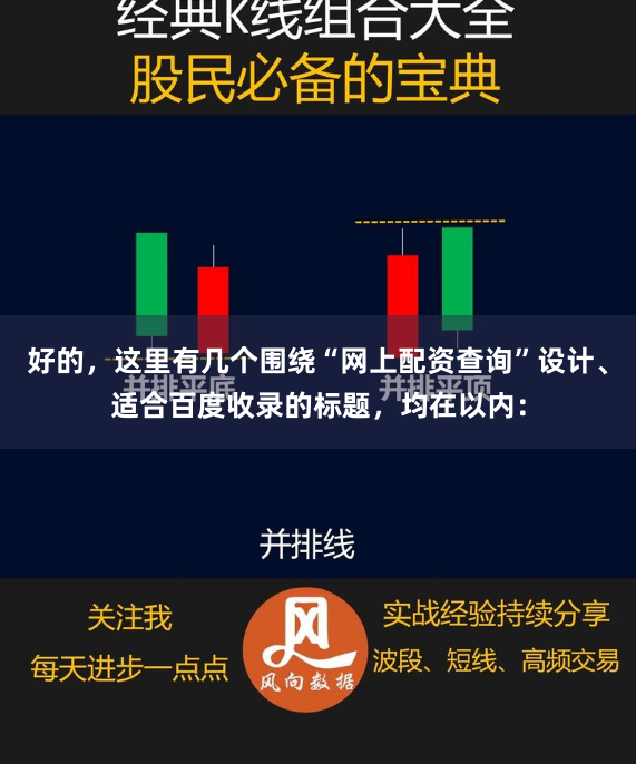 好的，这里有几个围绕“网上配资查询”设计、适合百度收录的标题，均在以内：