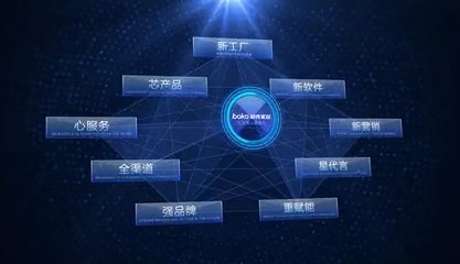 柏克家居全国营销总监吴小星 数字化转型中的软件开发策略
